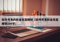 软件开发的职业生涯规划（软件开发职业生涯规划100字）