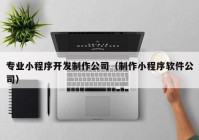 专业小程序开发制作公司（制作小程序软件公司）