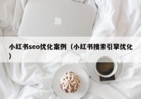 小红书seo优化案例（小红书搜索引擎优化）