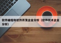 软件编程和软件开发企业分析（软件技术企业分析）