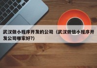 武汉做小程序开发的公司（武汉微信小程序开发公司哪家好?）