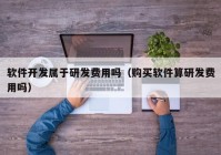 软件开发属于研发费用吗（购买软件算研发费用吗）