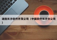 湖南长沙软件开发公司（中国软件长沙分公司）