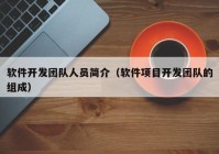 软件开发团队人员简介（软件项目开发团队的组成）