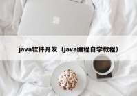 java软件开发（java编程自学教程）