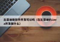 比亚迪做软件开发可以吗（在比亚迪的Java开发做什么）