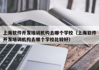上海软件开发培训机构去哪个学校（上海软件开发培训机构去哪个学校比较好）