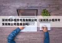 深圳市小程序开发有限公司（深圳市小程序开发有限公司是国企吗）