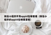 微信小程序开发appid在哪里看（微信小程序的appid在哪里查看）