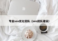 专业seo优化团队（seo团队建设）