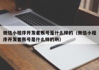 微信小程序开发者账号是什么样的（微信小程序开发者账号是什么样的啊）