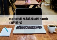 aspice软件开发流程培训（aspice培训机构）