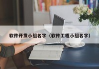 软件开发小组名字（软件工程小组名字）