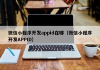 微信小程序开发appid在哪（微信小程序开发APPID）