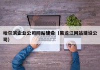 哈尔滨企业公司网站建设（黑龙江网站建设公司）